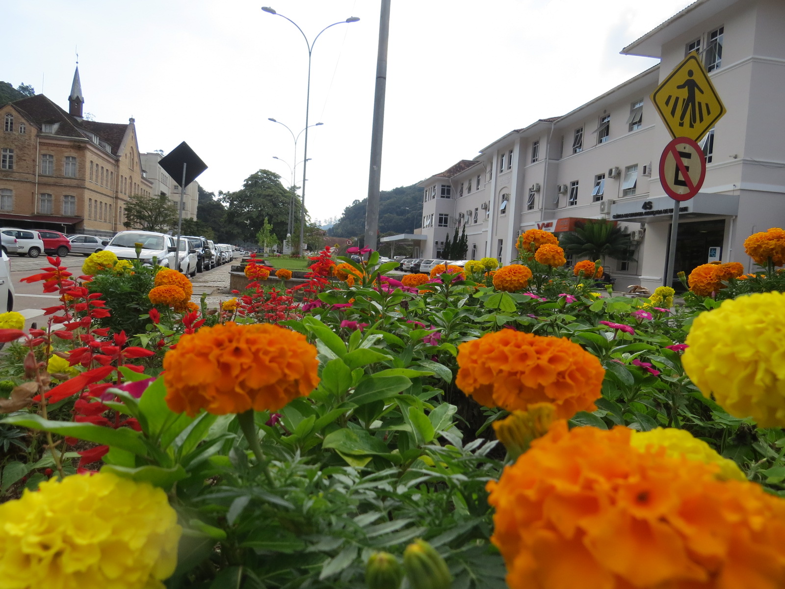 Flores espalham novas cores por todo município