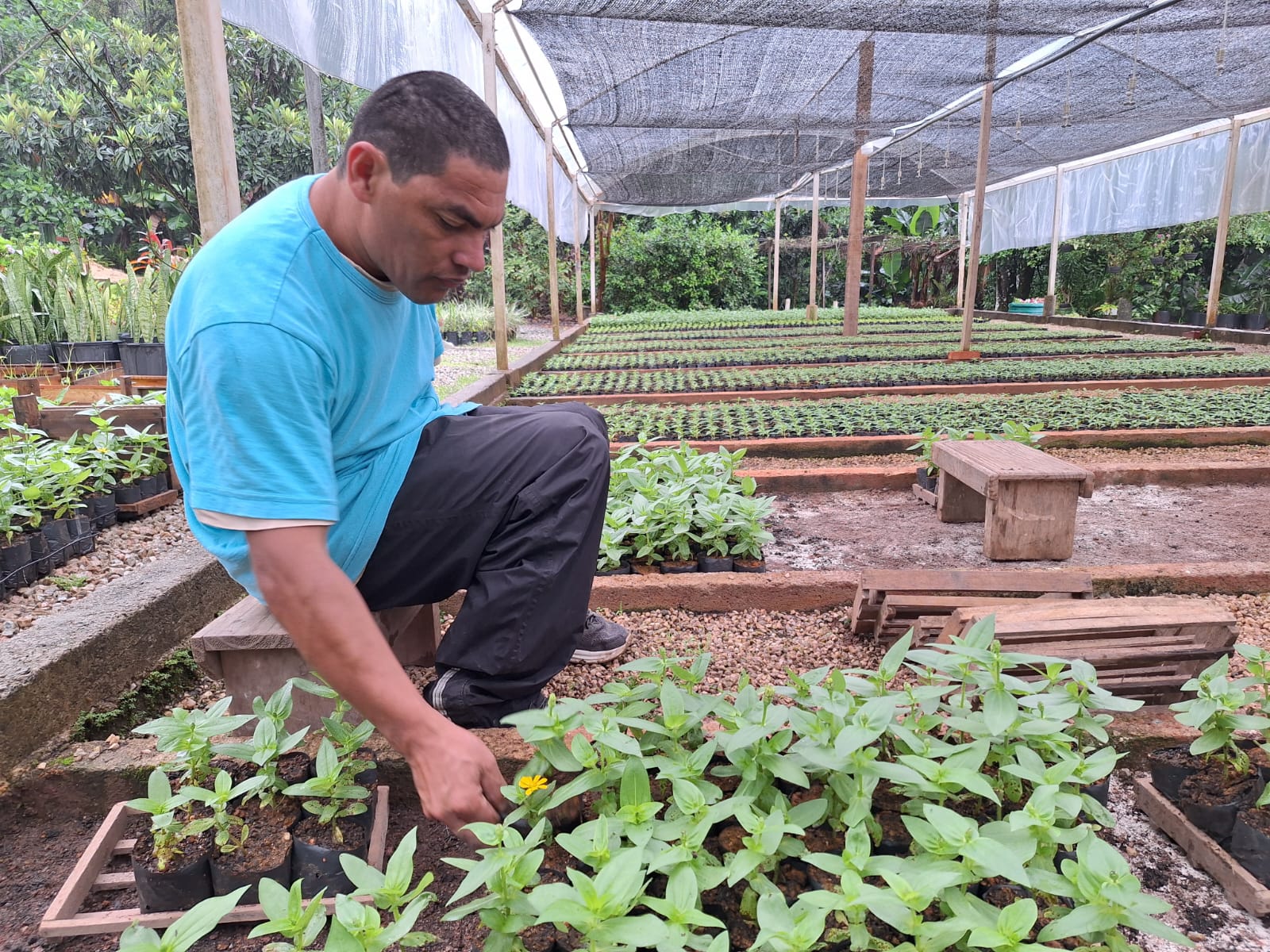 Balanço anual do Horto Florestal mostra Brusque mais verde