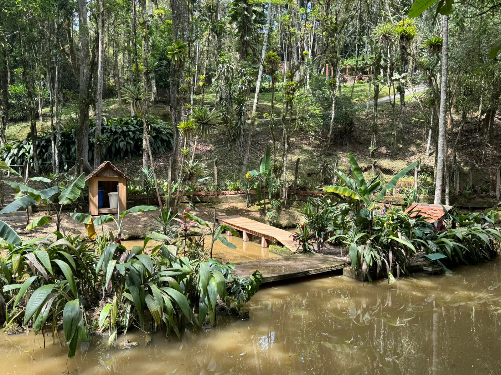 Ilha no Parque Zoobotânico é reformulada